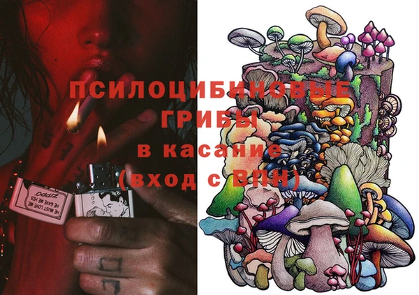 хмурый Алексеевка