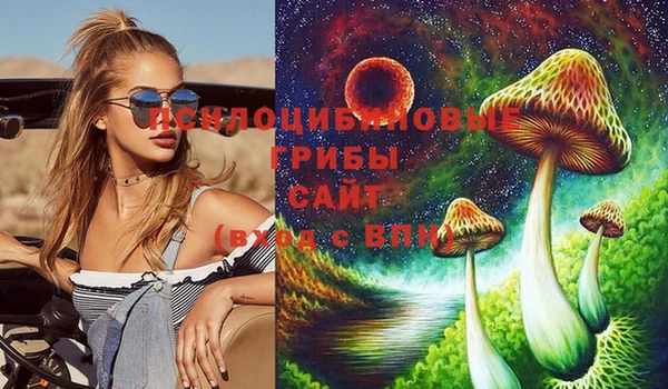 2c-b Алзамай