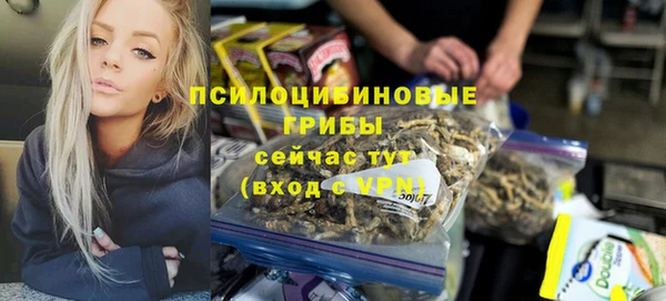 хмурый Алексеевка