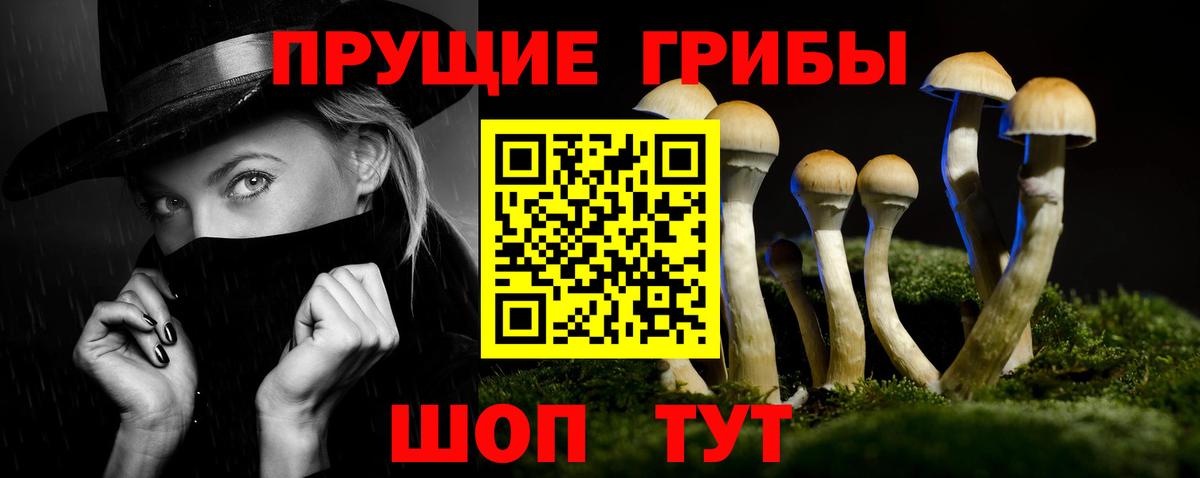 Псилоцибиновые грибы MAGIC MUSHROOMS Рубцовск